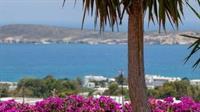 Aloe Paros Suites And Studios Дриос Экстерьер фото